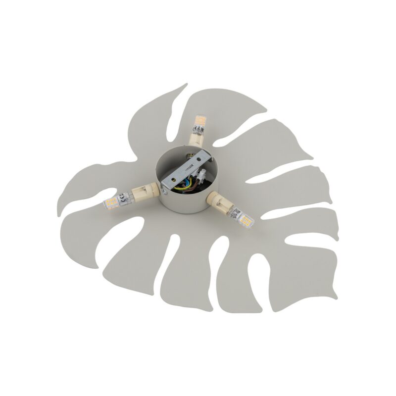 Kinkiet TK Lighting Monstera Beige x3 - obrazek 4
