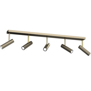 Spot Luminex Axion Titanium Gold/gold x5