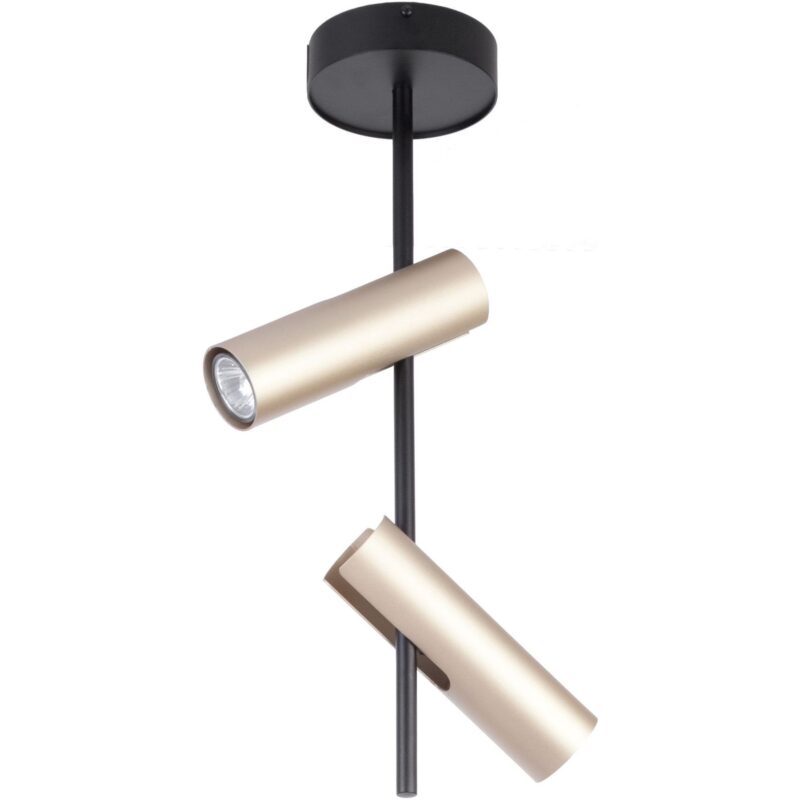Lampa Sufitowa Sigma Leda x2 Czarny-Złoty