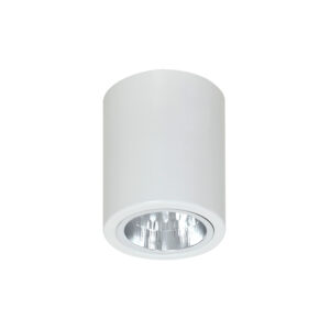 Downlight Luminex Oprawa Sufitowa Round White x1