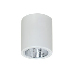 Downlight Luminex Oprawa Sufitowa Round White x1