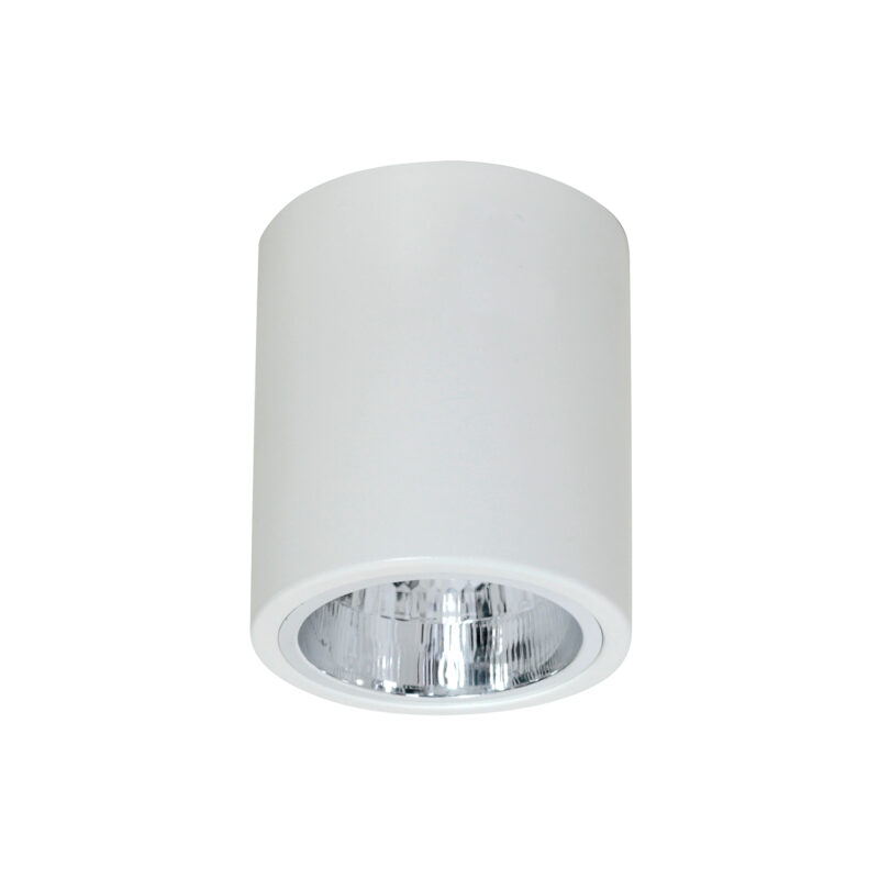 Downlight Luminex Oprawa Sufitowa Round White x1
