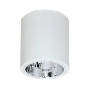 Downlight Luminex Oprawa Sufitowa Round White x1