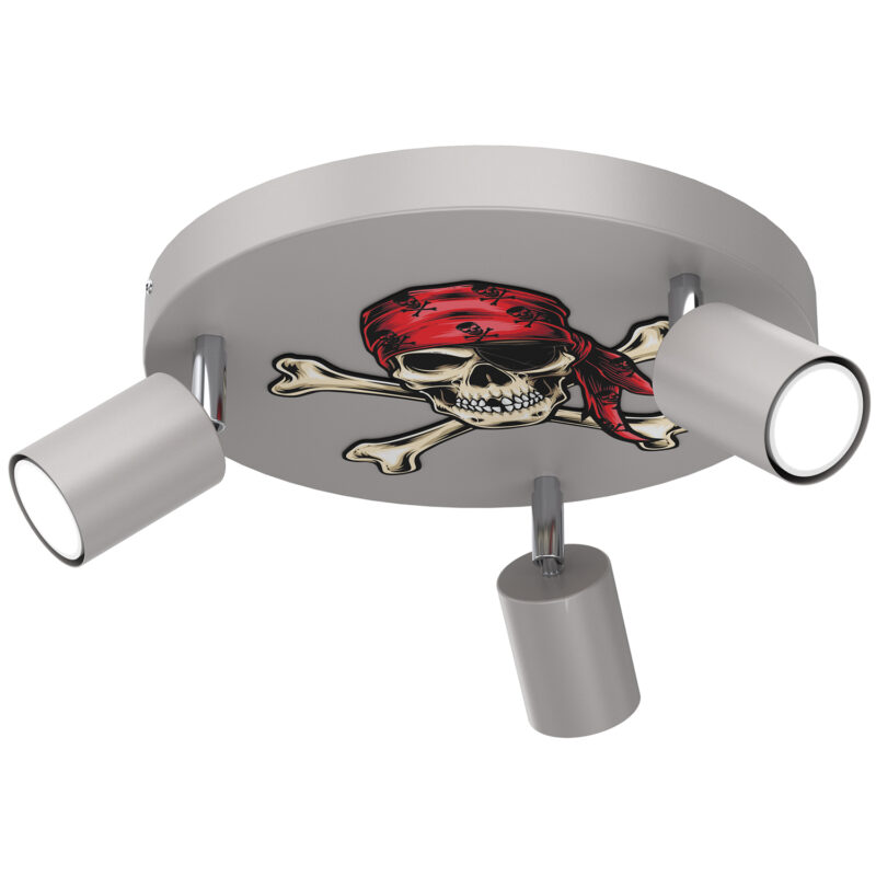 Spot Luminex Fun Skull Grey Plate Dia 300 x1